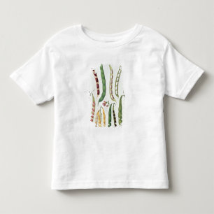 Beans Toddler T-Shirt