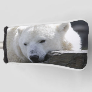 Bear 002 golf head cover