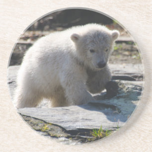 Bear 07 coaster