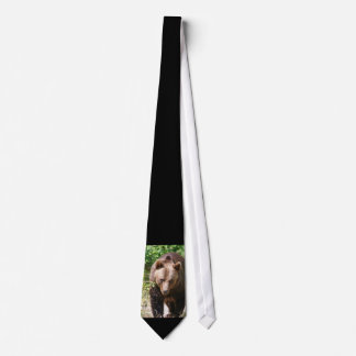 Bear_2015_0313 Tie