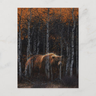 Bear 3 postcard