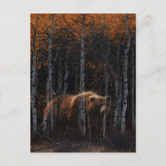 Bear 3 postcard
