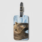 Bear 503 Luggage Tag