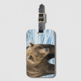 Bear 503 Luggage Tag