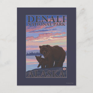 Bear and Cub - Denali National Park, Alaska Postcard