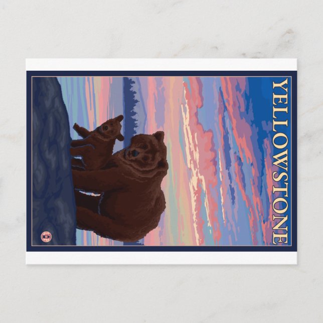 Bear and Cub - Yellowstone National Park Postcard (Front)