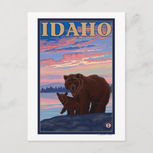Bear and CubIdahoVintage Travel Poster Postcard