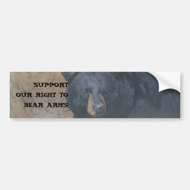 BEAR ARMS - 2ND AMMENDMENT RIGHT BUMPER STICKER (Front)