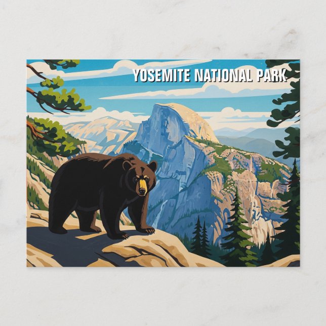 Bear at Yosemite National Park  Postcard (Front)