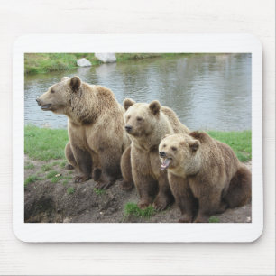 Bear bears animal custom personalise Anniversaries Mouse Pad