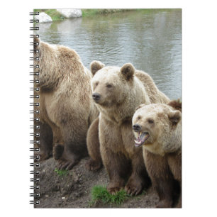 Bear bears animal custom personalise Anniversaries Notebook