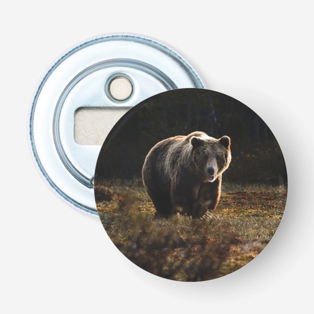 Bear Bottle Opener (Front)