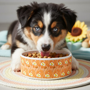 Bear Bowl