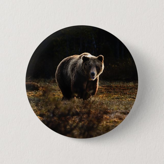 Bear Button (Front)