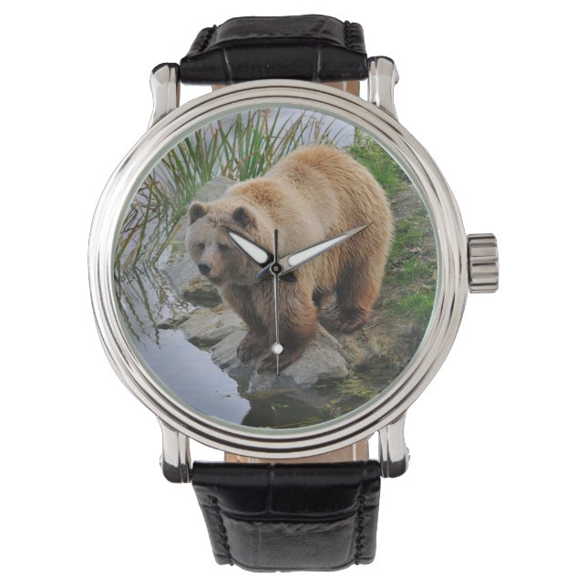 Bear by a Lake Watch (Front)
