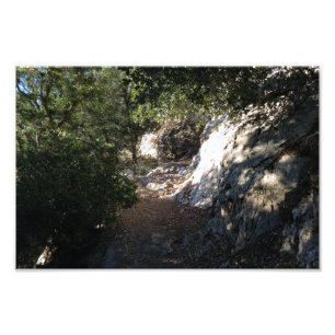 Bear Canyon Campground  Photo Print