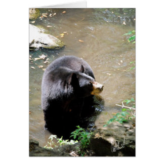 Bear Card