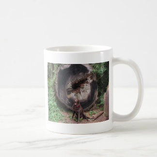 Bear Coffee Mug