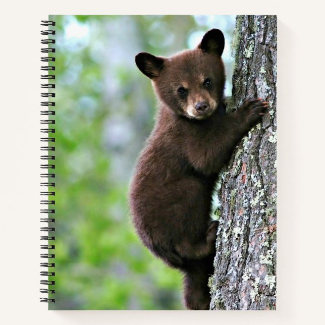Bear Cub Climbing a Tree, Notebook (Front)