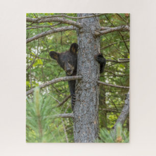 Bear Cub Climbing Tree Jigsaw Puzzle