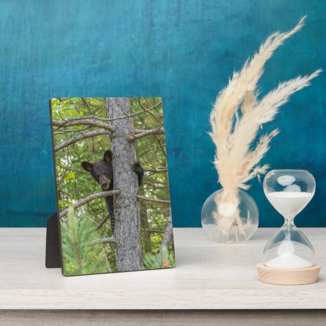 Bear Cub Climbing Tree Plaque (Side)