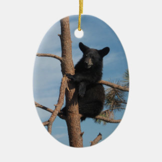 Bear Cub In A Tree Ceramic Tree Decoration
