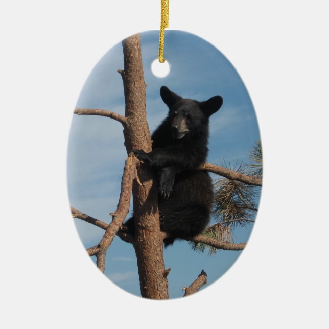 Bear Cub In A Tree Ceramic Tree Decoration (Front)