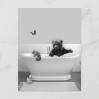 Bear Cub in Bathtub Bubble bath 