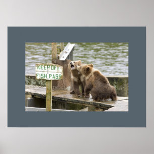 Bear Cubs Keepsake Memories Love Destiny Destiny's Poster