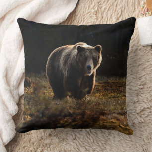 Bear Cushion