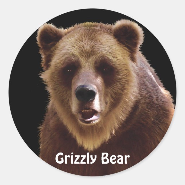 Bear Design for Animal and Wildlife-Supporters Classic Round Sticker (Front)