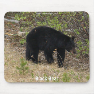 Bear Design for Animal and Wildlife-Supporters Mouse Pad