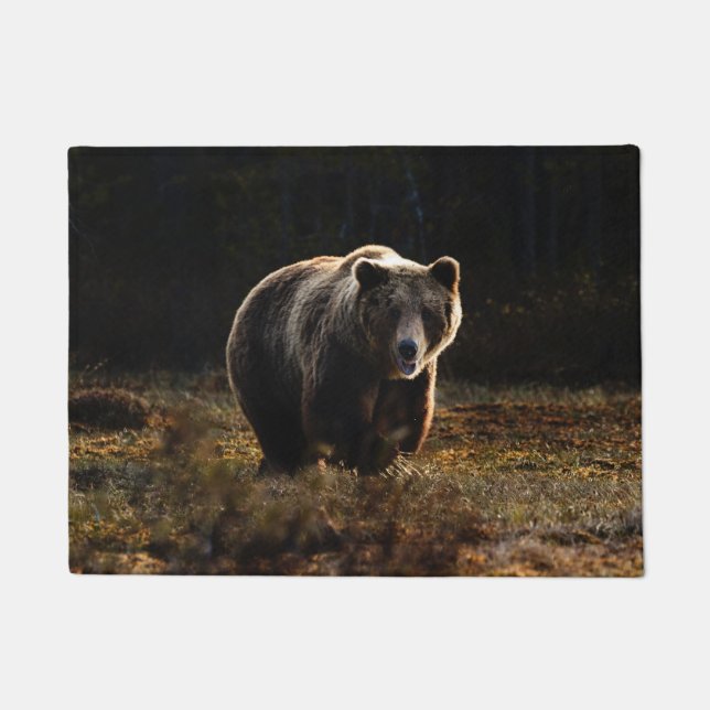 Bear Doormat (Front)