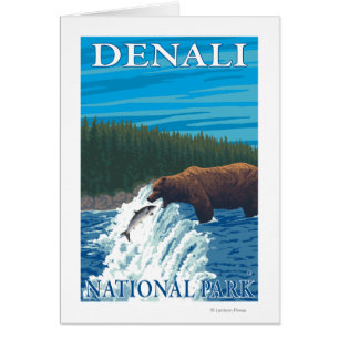 Bear Fishing in River - Denali National Park,