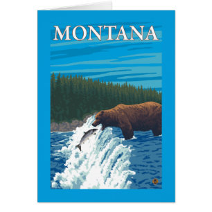 Bear Fishing in River - Montana