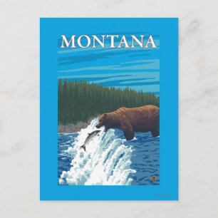 Bear Fishing in River - Montana Postcard