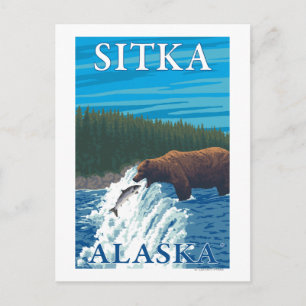 Bear Fishing in River - Sitka, Alaska Postcard