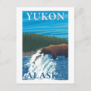 Bear Fishing in River - Yukon, Alaska Postcard