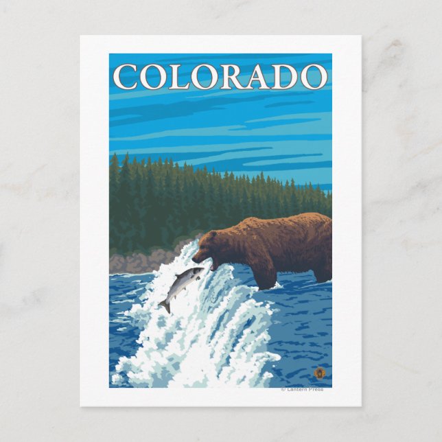 Bear FishingColorado Postcard (Front)