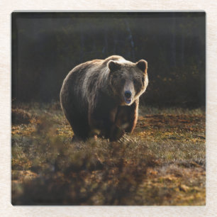 Bear Glass Coaster