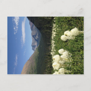 Bear Grass Glacier National Park Postcard