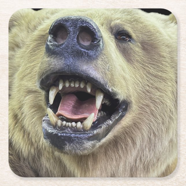 Bear head face design with smile square paper coaster (Front)