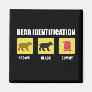 Bear Identification Funny Magnet