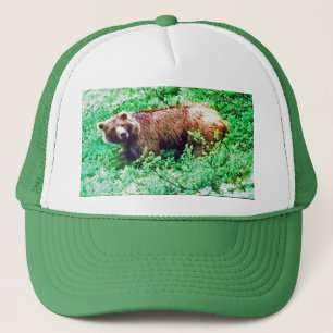 Bear in Alaska, on hat