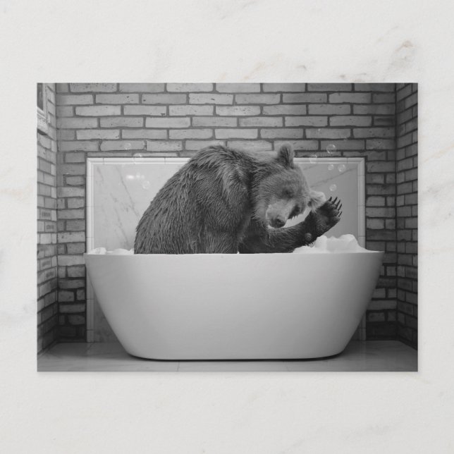 Bear  in Bathtub Bubble bath Animal Postcard (Front)