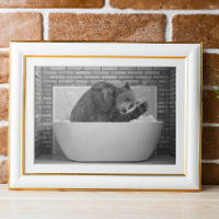 Bear in Bathtub Bubble bath Animal