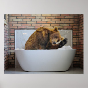 Bear  in Bathtub Bubble bath Animal   Poster