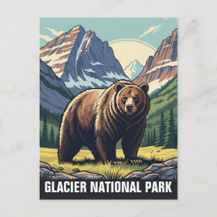 Bear in Glacier National Park Montana Postcard