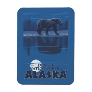 Bear in Moonlight - Denali National Park, Alaska Magnet