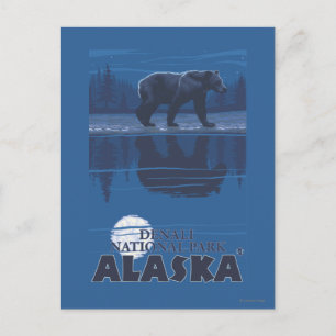 Bear in Moonlight - Denali National Park, Alaska Postcard